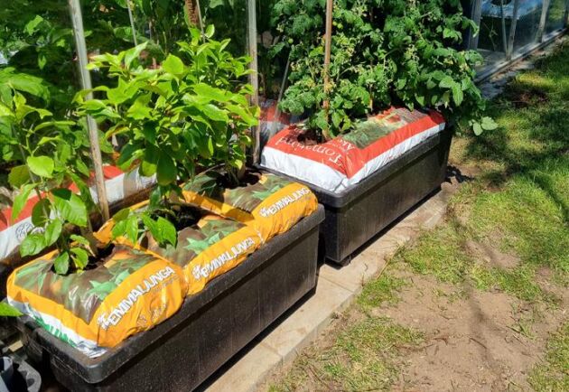 Med bevattningsboxen kan du odla direkt i säck.