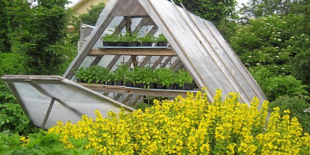 Bygg Börjes smarta växthus – enklare finns inte
