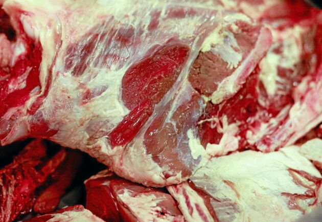  I vinterns polska köttskandal såldes kött från sjuka djur vidare, bland annat till Sverige.