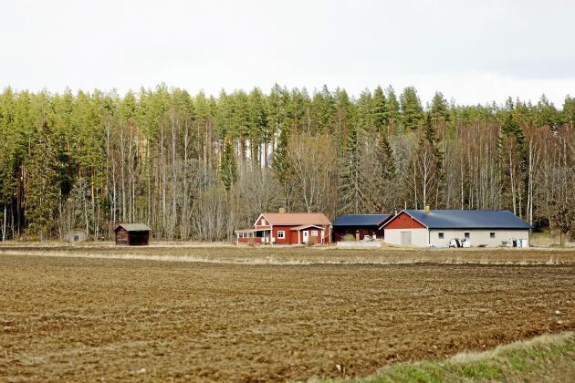  Matses gård har gått i arv i många generationer. Den ligger i byn Pungmakarbo mellan Säter och Hedemora. 