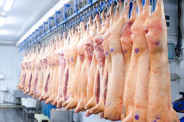  Enligt förslaget skulle köttet användas till produkter för den nationella strategiska reserven, där runt 200 000 människor skulle ta del av köttet.