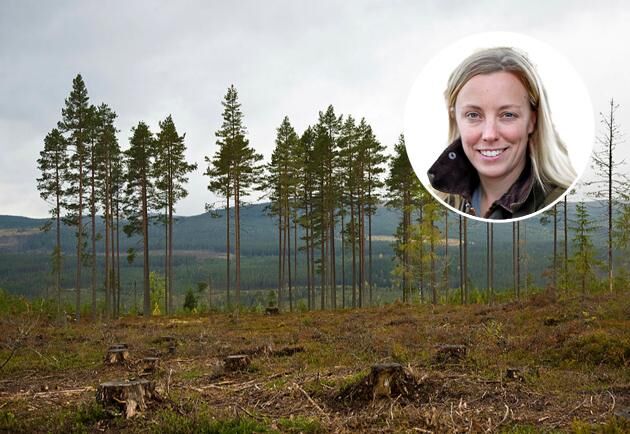  Marit Bohlin, blivande skogsägare, LRF Ungdomen.