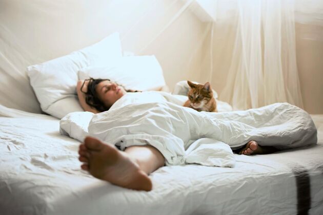  Att sova med sin katt ger ännu mer närhet och den älskar att allt doftar som du.
