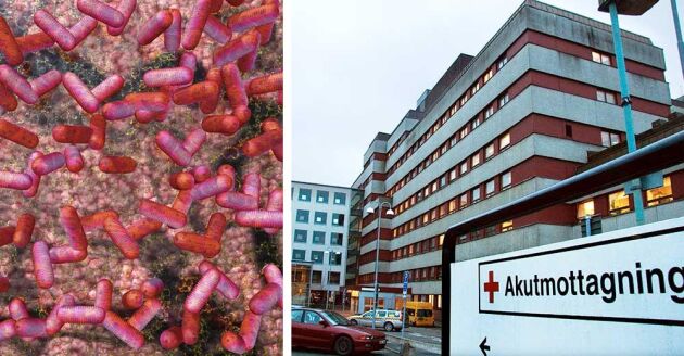 Den 11-åriga pojken blev allvarligt sjuk efter att smittats av ehec och vårdades på sjukhuset i Lund. 