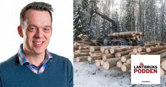  Skogsekonomen Tomas Karlsson jobbar på Areal i Karlstad. 