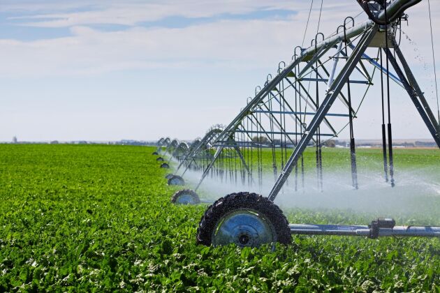  Globalt sett står jordbruket för runt 70 procent av all vattenåtgång.