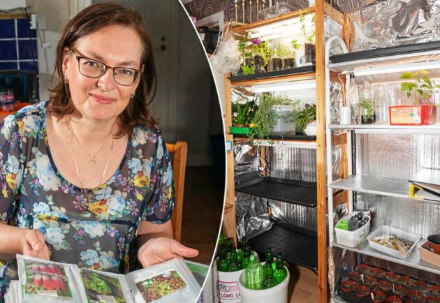  Tatiana Henriksson kan odla året runt i sin supersmarta odlingsstation av återbrukade saker.