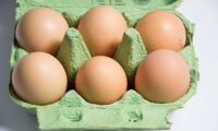 ”Sverige bör undantas från EU:s äggregler”