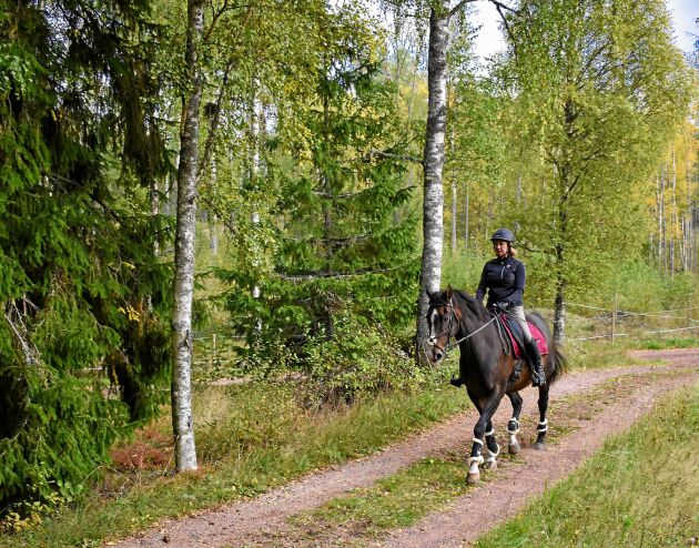  Karin Semberg har fyra hästar som hon tar hand om och rider. 