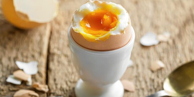 Ny studie slår fast: Så ofta och så många ägg kan du äta