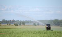 Minskad vattenanvändning inom jordbruket