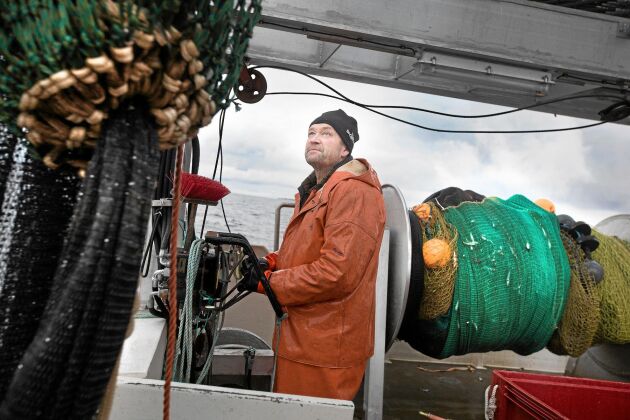  I över 20 år har Lennart Sundström fiskat löja. Nu är han oroad över framtiden. ”Sälen kan knäcka hela fiskbeståndet”, säger han.
