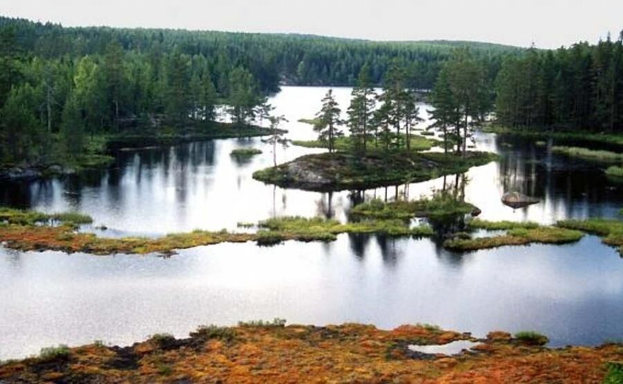 Land.se listar 20 svenska resmål för naturälskare.