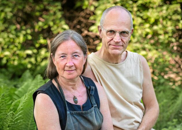Paret har naturen som affärsidé – titta in i deras skogsparadis