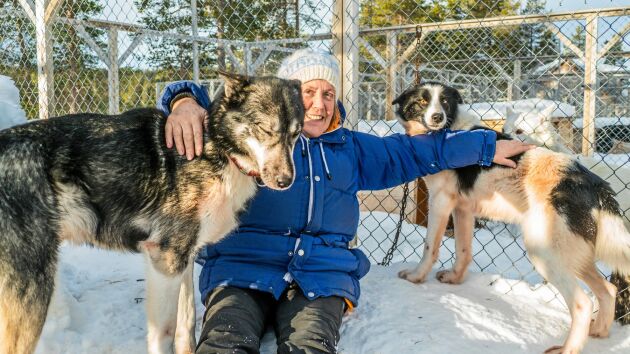  67-åriga Lotti Meier med två av sina husky-hundar.