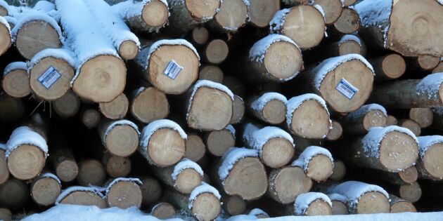Skogsbolag: ”Stora Enso har en valutafördel”