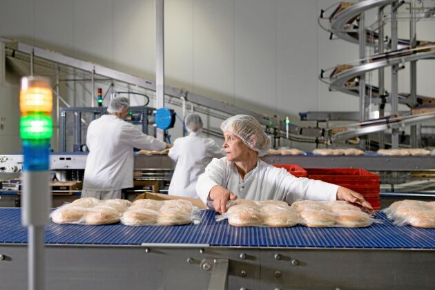  Bageriet i polska Nowa Sól ska producera frysta bröd för den polska, tyska och delvis för den nordiska marknaden. ”Vi ska stärka vår position som en global aktör”, säger Werner Devinck som ser nya företagsköp framför sig.
