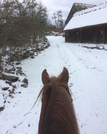  På hästryggen kan man definitivt njuta av vintern, menar Hanna Lindahl. 