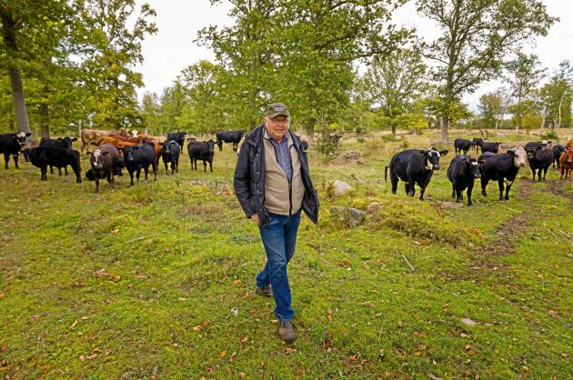  Arne Andreae är en av de lantbrukare som med stort intresse följer pilotmålet med krav på Jordbruksverket om dröjsmålsränta för sent utbetalade EU-stöd. I Arnes fall uppgår de försenade stöden 2015–2018 till 1,12 miljoner kronor.