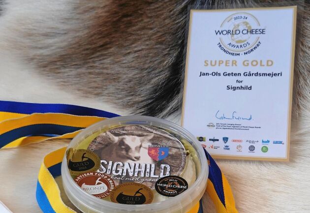  Stora framgångar. Diplomet som visar på utmärkelsen i världsmästerskapen i ost. Plus medaljer från SM i mathantverk - Signhild når framgång överallt!