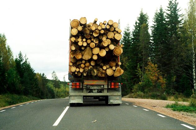  Det svårt att förstå varför skogsindustrin anklagas för att sätta käppar i hjulet för handel och vara motståndare till gemensamma miljökrav. 