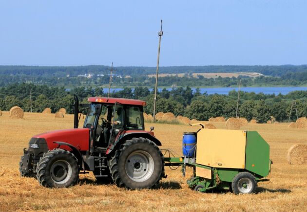  Polska bönder ökar sin lönsamhet.