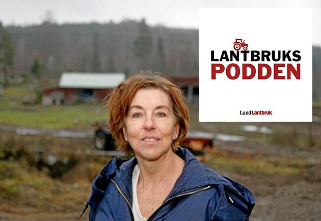  Gölin Carina Christiansens Vargen och statsmakten utkom i september 2020. Hon är journalist, författare och arbetat med skogspolitik på LRF.