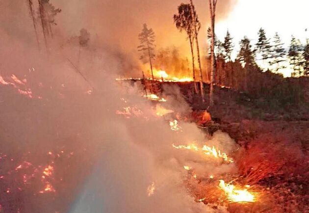  Det är ett stort område som eldhärjats och som fortfarande brinner utanför Ragunda i Jämtland.