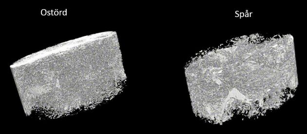  Bilden visar porsystemet i ett prov från den ostörda marken och i ett prov från spåret i störd mark. Bilden är skapad med metoden röntgentomografi. 