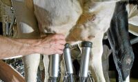 Skånemejerier höjer mjölkpristillägget