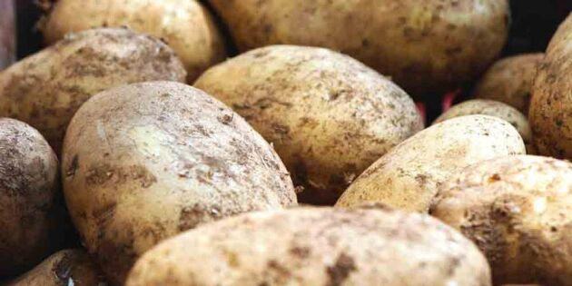 Städa med mat – potatis trollar bort rosten