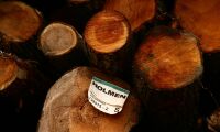 Högre trävarupriser höjer Holmen