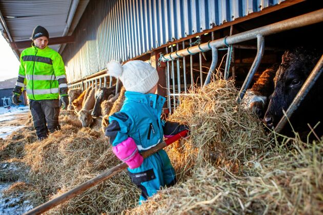  Charlie hade länge drömt om att få bli bonde i Sverige. Sonen Pontus lassar hö till kossorna, och gillar att vara med och jobba på gården.