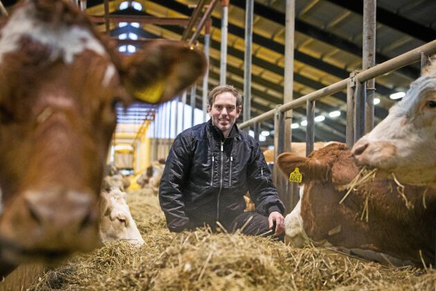  Hållbart och effektivt är ledord för ekobonden Henrik Nisser i Värmland, som driver Årets nötköttsföretag 2019.