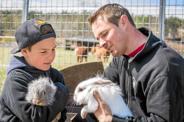  Kaninerna uppskattas både av familjen och besökarna. Här gosar Daniel och sonen Viktor med dem.