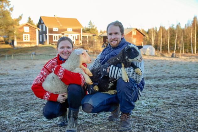  Caroline Nielsen och Christoffer Lindahl älskar sitt nya liv som fårbönder och ägare till Strömmens gårdsmejeri i Boltjärn.