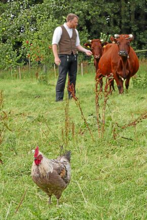  "För krögarna är det inne att ha ett eget lantbruk, eller i varje fall kontakt med ett som man känner som sitt eget", säger lantbrukaren Johan Widing på Bokeslundsgården.