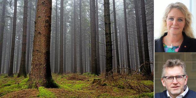 Skogsägarna och industrin är vinnare med vår politik