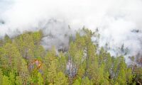 Debatt: Ska skogsbruket stå för bränder till forskningen?