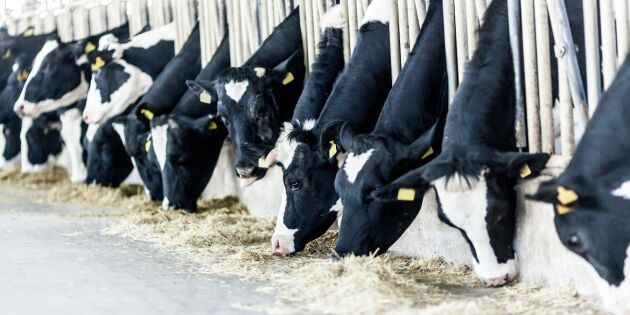 Mjölkinvägningen gick ner med 1,7 procent förra året
