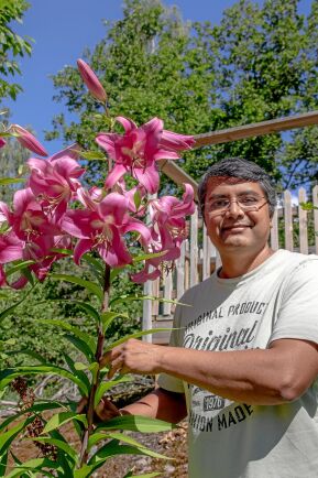  Abhay Devastahle kan njuta av blommorna hos trädliljan ’Pink Explosion’ utan att böja sig ner. 