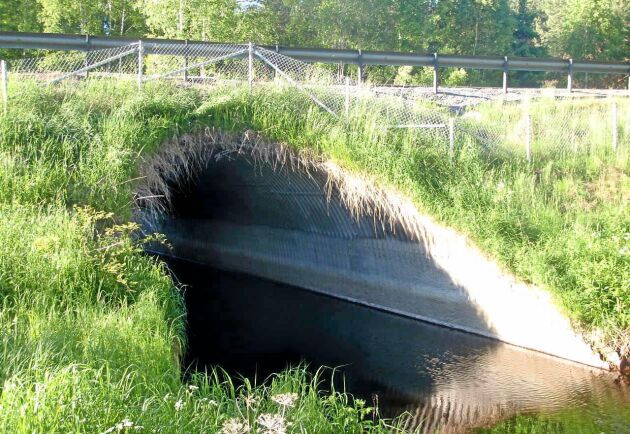  En rörbro renoverad med betongsprutning upp till ett stycke över vattenlinjen.