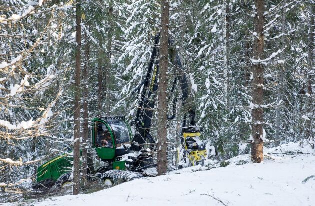  Gallringsskördaren med Per Häggström i hytten har det kämpigt att klara avverkningen med nästan en meters tjockt snölager. Förra gallringsposten var han tvungen att lämna för där var det cirka 1,20 meter djup snö.