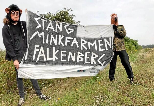  Aktivister demonstrerar i anslutning till minkfarmen i Glommen utanför Falkenberg.