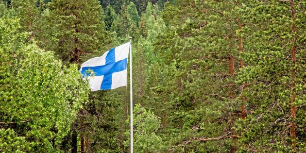 Svenska skogsägare säljer dyrare till Finland