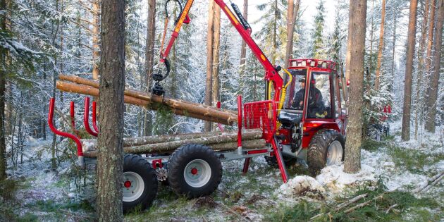 Vintern är perfekt tid för skogsarbete
