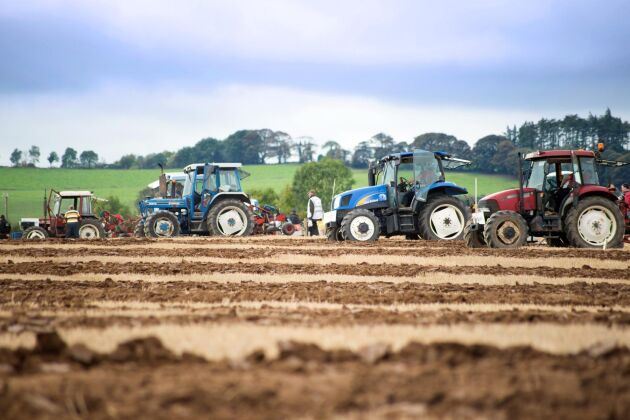  Tävlande traktorer under de irländska mästerskapen i plöjning.