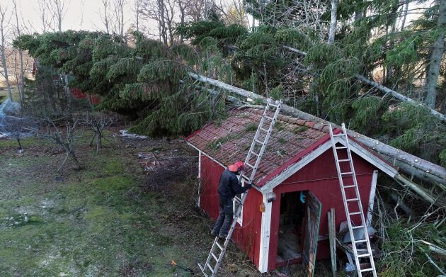  Arholma i Norrtäljes skärgård drabbades hårt av stormen Alfrida.