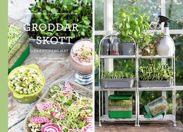  Boken Groddar &amp; skott - framtidens mat ges ut av företaget Sproutly.