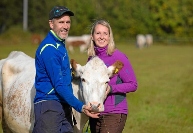  Örjan och Cecilia Pääjärvi är glada över att de våga satsa på mjölkkor igen, i Tornedalen. 